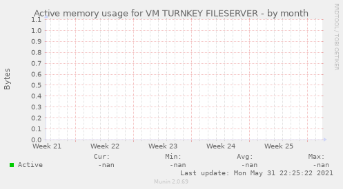 Active memory usage for VM TURNKEY FILESERVER