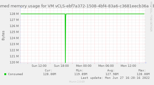 Consumed memory usage for VM vCLS-ebf7a372-1508-4bf4-83a6-c3681eecb36a