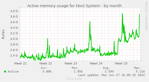 Active memory usage for Host System