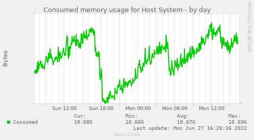 Consumed memory usage for Host System