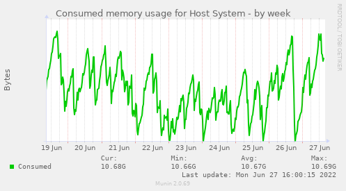 Consumed memory usage for Host System