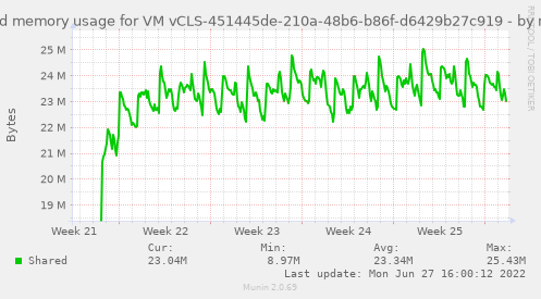 Shared memory usage for VM vCLS-451445de-210a-48b6-b86f-d6429b27c919
