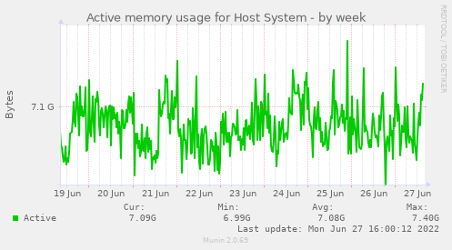 Active memory usage for Host System