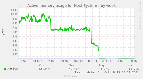 Active memory usage for Host System